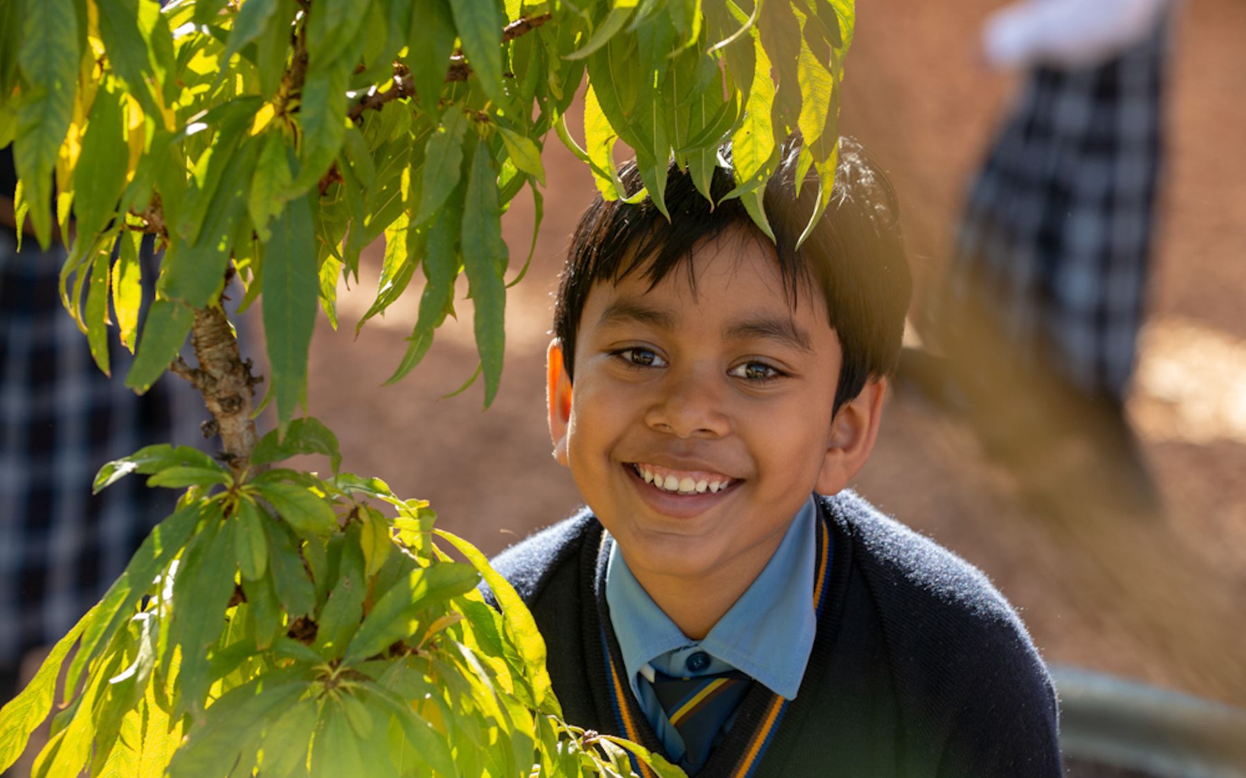 Transition to Primary School